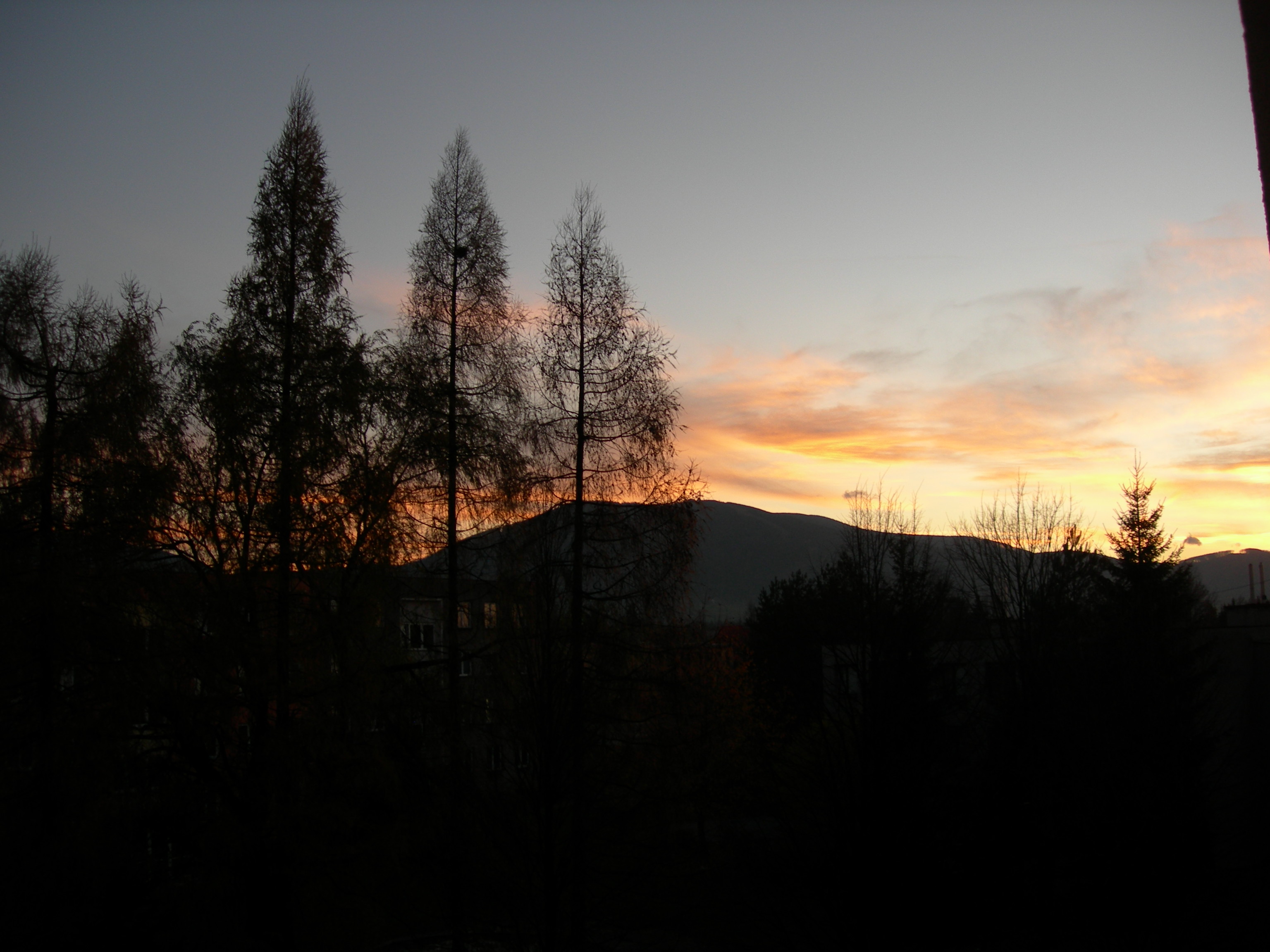 DSCN2990.JPG